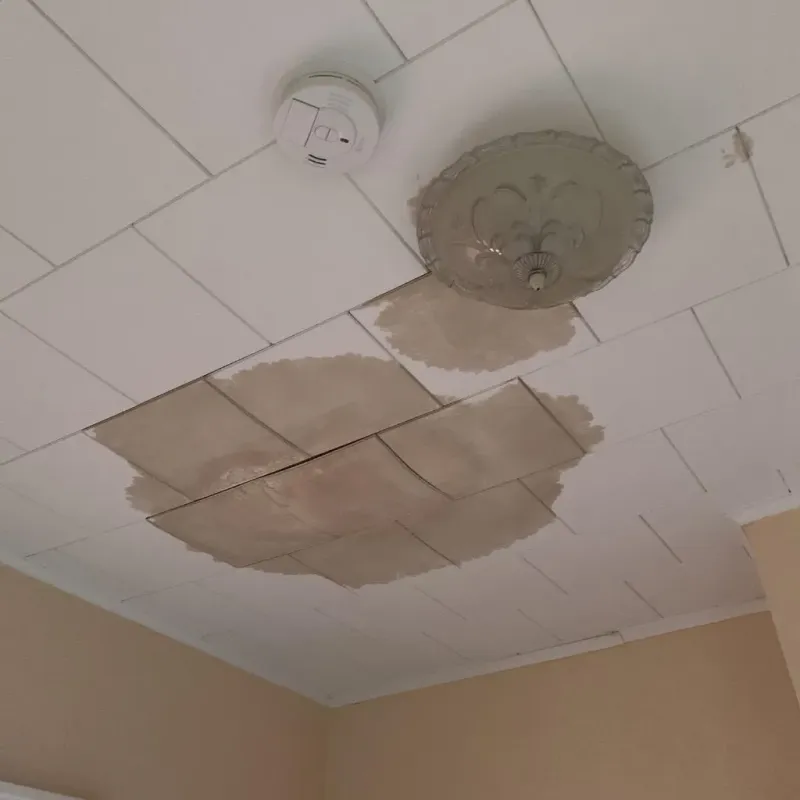 Ceiling Water Damage Repair in Bunnell, FL